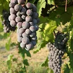 La Quercia 몬칼보