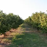 팜스테이 La Quercia *