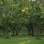 La Quercia Séjour à la ferme Moncalvo
