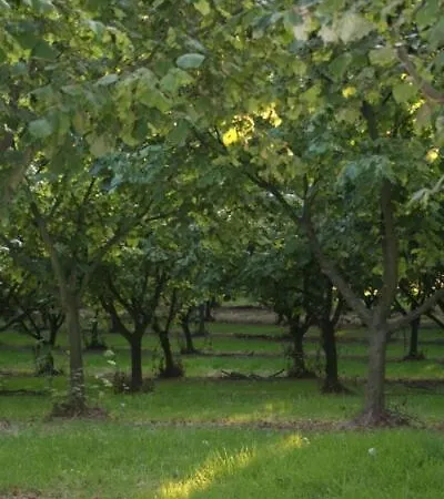 La Quercia Gospodarstwo agroturystyczne Moncalvo